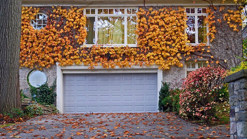 Fall Real Estate Market News