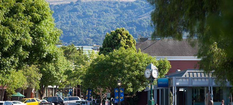 los-gatos-real-estate-neighborhood-fall-events