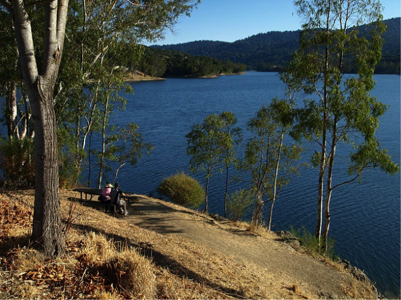 Lexington Reservoir
