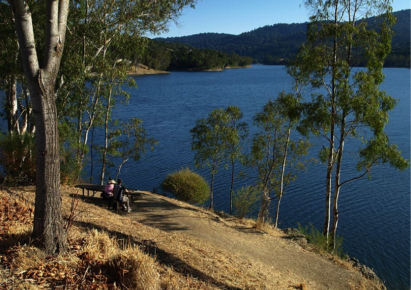 Lexington Reservoir